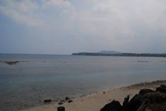 DSC_0127.jpg
