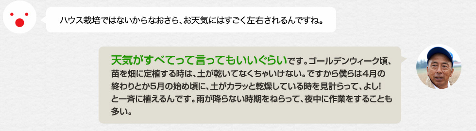 ハウス栽培ではないからなおさら、お天気にはすごく左右されるんですね。「天気がすべてって言ってもいいぐらいです。ゴールデンウィーク頃、苗を畑に定植する時は、土が乾いてなくちゃいけない。ですから僕らは4月の終わりとか5月の始め頃に、土がカラッと乾燥している時を見計らって、よし！と一斉に植えるんです。雨が降らない時期をねらって、夜中に作業をすることも多い。」