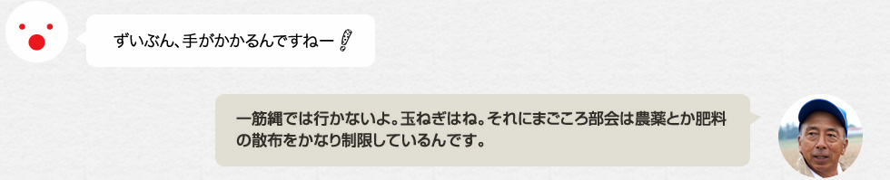 ずいぶん、手がかかるんですねー！「一筋縄では行かないよ。玉ねぎはね。それにまごころ部会は農薬とか肥料の散布をかなり制限しているんです。」