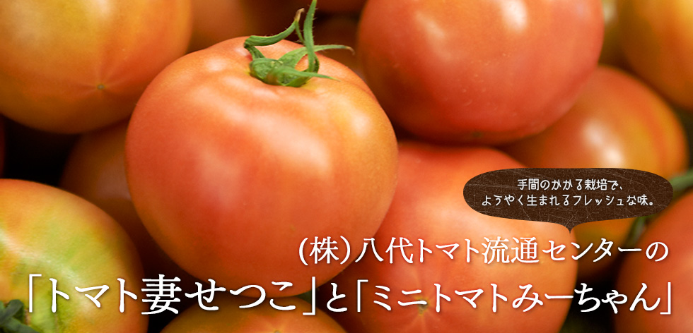 手間のかかる栽培で、 ようやく生まれるフレッシュな味。 (株）八代トマト流通センターの「トマト妻せつこ」と「ミニトマトみーちゃん」