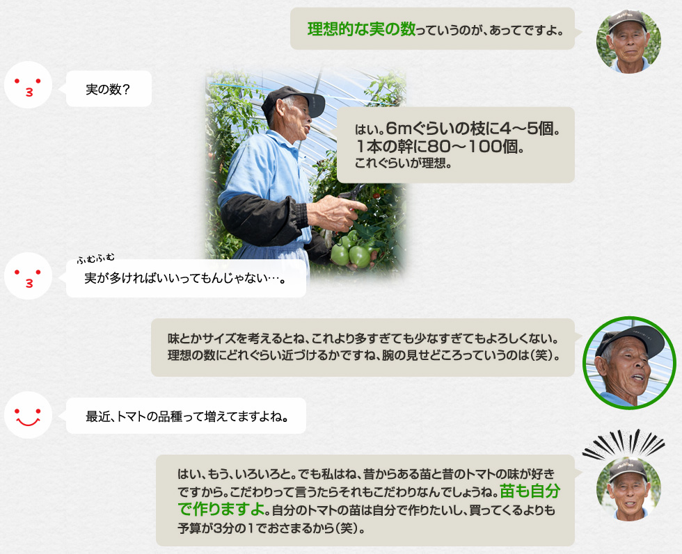 「理想的な実の数っていうのが、あってですよ。」実の数？「はい。6mぐらいの枝に4〜５個。1本の幹に80〜100個。これぐらいが理想。」実が多ければいいってもんじゃない…。「味とかサイズを考えるとね、これより多すぎても少なすぎてもよろしくない。理想の数にどれぐらい近づけるかですね、腕の見せどころっていうのは（笑）。」最近、トマトの品種って増えてますよね。「はい、もう、いろいろと。でも私はね、昔からある苗と昔のトマトの味が好きですから。こだわりって言うたらそれもこだわりなんでしょうね。苗も自分で作りますよ。自分のトマトの苗は自分で作りたいし、買ってくるよりも予算が3分の１でおさまるから（笑）。」