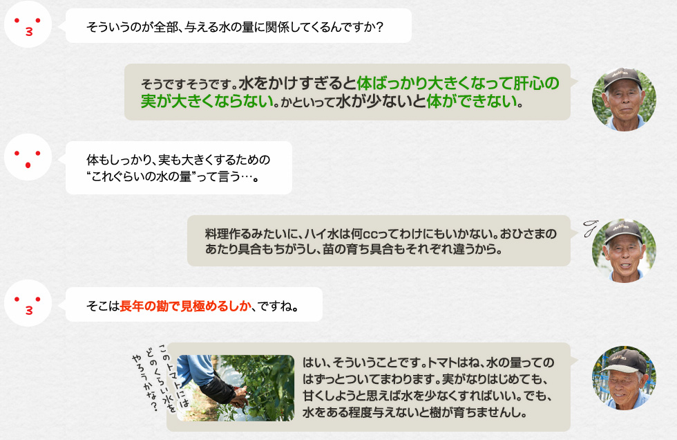 そういうのが全部、与える水の量に関係してくるんですか？「そうですそうです。水をかけすぎると体ばっかり大きくなって肝心の実が大きくならない。かといって水が少ないと体ができない。」体もしっかり、実も大きくするための「これぐらいの水の量」って言う…。「料理作るみたいに、ハイ水は何ccってわけにもいかない。おひさまのあたり具合もちがうし、苗の育ち具合もそれぞれ違うから。」そこは長年の勘で見極めるしか、ですね。「はい、そういうことです。トマトはね、水の量ってのはずっとついてまわります。実がなりはじめても、甘くしようと思えば水を少なくすればいい。でも、水をある程度与えないと樹が育ちませんし。」