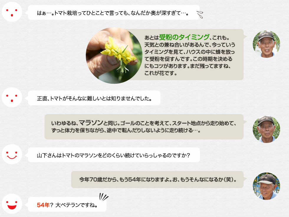 はぁ…。トマト栽培ってひとことで言っても、なんだか奥が深すぎて…。「あとは受粉のタイミング、これも。天気との兼ね合いがあるんで、今っていうタイミングを見て、ハウスの中に蜂を放って受粉を促すんです。この時期を決めるにもコツがあります。まだ残ってますね、これが花です。」正直、トマトがそんなに難しいとは知りませんでした。「いわゆるね、マラソンと同じ。ゴールのことを考えて、スタート地点から走り始めて、ずっと体力を保ちながら、途中で転んだりしないように走り続ける…。」山下さんはトマトのマラソンをどのくらい続けていらっしゃるのですか？「今年70歳だから、もう54年になりますよ。お、もうそんなになるか（笑）。」54年？ 大ベテランですね。