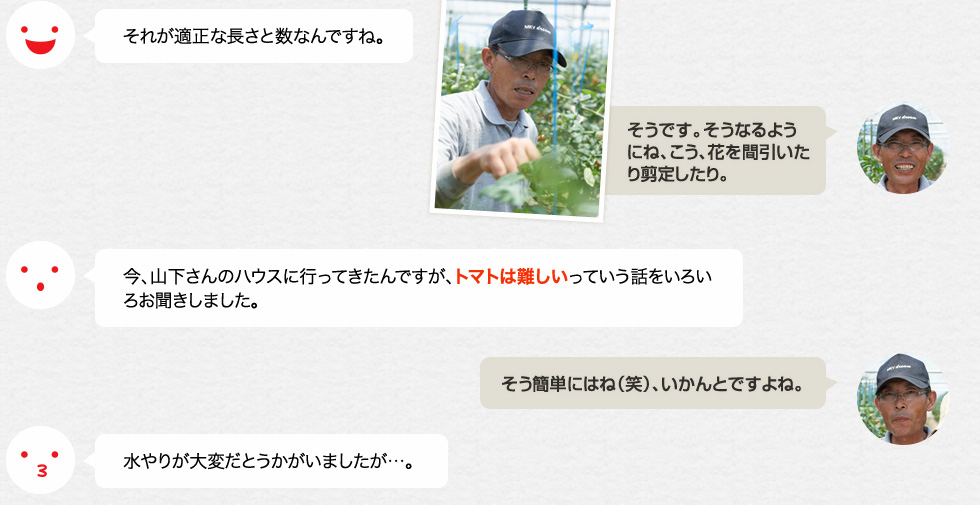 それが適正な長さと数なんですね。「そうです。そうなるようにね、こう、花を間引いたり剪定したり。」今、山下さんのハウスに行ってきたんですが、トマトは難しいっていう話をいろいろお聞きしました。「そう簡単にはね（笑）、いかんとですよね。」水やりが大変だとうかがいましたが…。