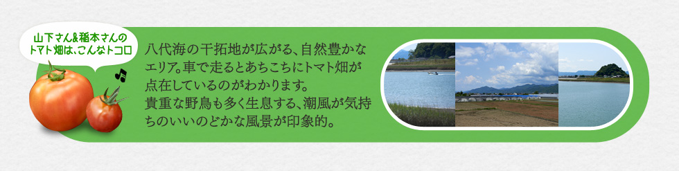 山下さん&稲本さんのトマト畑は、こんなトコロ　八代海の干拓地が広がる、自然豊かなエリア。車で走るとあちこちにトマト畑が点在しているのがわかります。貴重な野鳥も多く生息する、潮風が気持ちのいいのどかな風景が印象的。