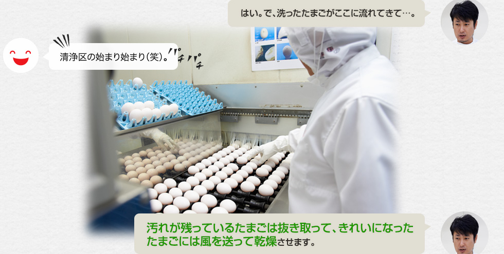 「はい。で、洗ったたまごがここに流れてきて…。」清浄区の始まり始まり（笑）。「汚れが残っているたまごは抜き取って、きれいになったたまごには風を送って乾燥させます。」