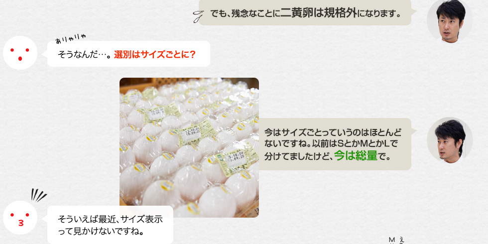 「でも、残念なことに二黄卵は規格外になります。」そうなんだ…。 選別はサイズごとに？「今はサイズごとっていうのはほとんどないですね。以前はSとかMとかLで分けてましたけど、今は総量で。」そういえば最近、サイズ表示って見かけないですね。