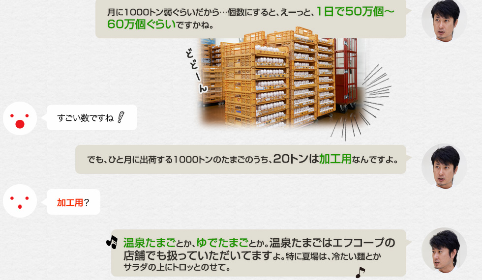 「月に1000トン弱ぐらいだから…個数にすると、えーっと、1日で50万個〜60万個ぐらいですかね。」すごい数ですね「でも、ひと月に出荷する1000トンのたまごのうち、20トンは加工用なんですよ。」加工用？「温泉たまごとか、ゆでたまごとか。温泉たまごはエフコープの店舗でも扱っていただいてますよ。特に夏場は、冷たい麺とかサラダの上にトロッとのせて。」