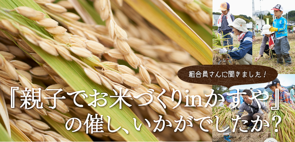 組合員さんに聞きました！『親子でお米づくりinかすや』の催し、いかがでしたか？