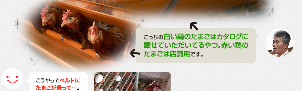 「こっちの白い鶏のたまごはカタログに載せていただいてるやつ。赤い鶏のたまごは店舗用です。」こうやってベルトにたまごが乗って…。