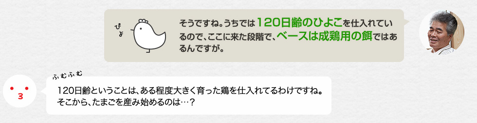 「そうですね。うちでは120日齢のひよこを仕入れているので、ここに来た段階で、ベースは成鶏用の餌ではあるんですが。」120日齢ということは、ある程度大きく育った鶏を仕入れてるわけですね。そこから、たまごを産み始めるのは…？