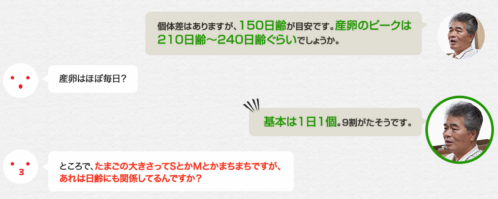 「個体差はありますが、150日齢が目安です。産卵のピークは210日齢〜240日齢ぐらいでしょうか。」産卵はほぼ毎日？「基本は1日1個。９割がたそうです。」ところで、たまごの大きさってSとかMとかまちまちですが、あれは日齢にも関係してるんですか？