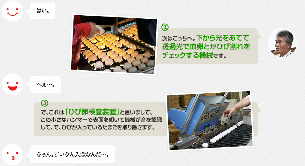 はい。「2.次はこっちへ。下から光をあてて透過光で血卵とかひび割れをチェックする機械です。」へぇ〜。「3.で、これは『ひび卵検査装置』と言いまして、この小さなハンマーで表面を叩いて機械が音を認識して、で、ひびが入っているたまごを取り除きます。」ふぅん。ずいぶん入念なんだ…。