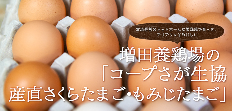 家族経営のアットホームな養鶏場で育った、プリプリッとおいしい 増田養鶏場の 「コープさが生協産直さくらたまご・もみじたまご」