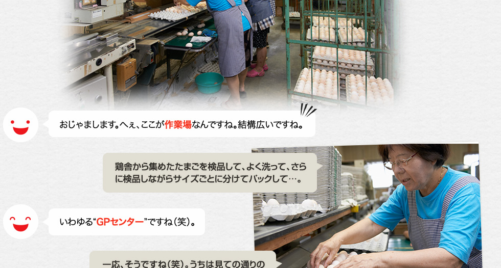 おじゃまします。へぇ、ここが作業場なんですね。結構広いですね。「鶏舎から集めたたまごを検品して、よく洗って、さらに検品しながらサイズごとに分けてパックして…。」いわゆる「GPセンター」ですね（笑）。「一応、そうですね（笑）。うちは見ての通りの小さな養鶏場で、お恥ずかしいんですが。」