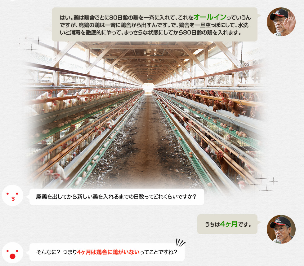 「はい。鶏は鶏舎ごとに80日齢の鶏を一斉に入れて、これをオールインっていうんですが、廃鶏の鶏は一斉に鶏舎から出すんです。で、鶏舎を一旦空っぽにして、水洗いと消毒を徹底的にやって、まっさらな状態にしてから80日齢の鶏を入れます。」廃鶏を出してから新しい鶏を入れるまでの日数ってどれくらいですか？うちは4ヶ月です。「そんなに？ つまり4ヶ月は鶏舎に鶏がいないってことですね？」