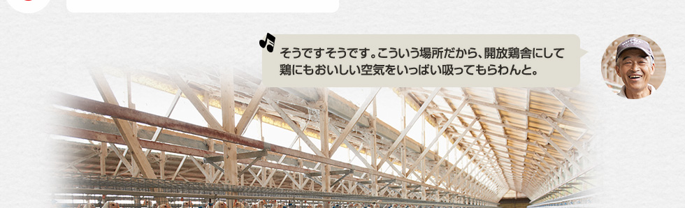 「そうですそうです。こういう場所だから、開放鶏舎にして鶏にもおいしい空気をいっぱい吸ってもらわんと。」