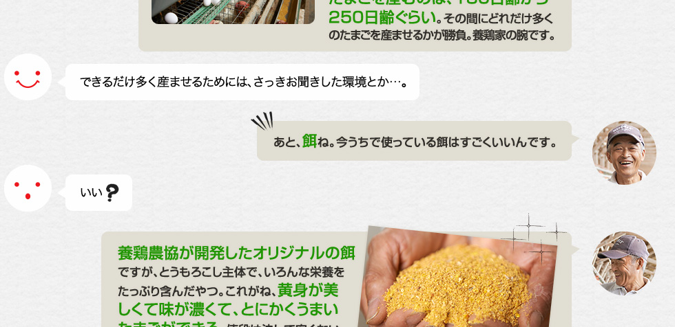 できるだけ多く産ませるためには、さっきお聞きした環境とか…。「あと、餌ね。今うちで使っている餌はすごくいいんです。」いい？「養鶏農協が開発したオリジナルの餌ですが、とうもろこし主体で、いろんな栄養をたっぷり含んだやつ。これがね、黄身が美しくて味が濃くて、とにかくうまいたまごができる。値段は決して安くないけど、餌にはこだわりたいね、やっぱり。」