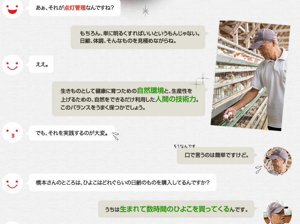 あぁ、それが点灯管理なんですね？「もちろん、単に明るくすればいいというもんじゃない。日齢、体調、そんなものを見極めながらね。」ええ。「生きものとして健康に育つための自然環境と、生産性を上げるための、自然をできるだけ利用した人間の技術力。このバランスをうまく保つかでしょう。」でも、それを実践するのが大変。「口で言うのは簡単ですけど。」橋本さんのところは、ひよこはどれぐらいの日齢のものを購入してるんですか？「うちは生まれて数時間のひよこを買ってくるんです。」